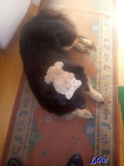 20.4.2025 - Auch Howard hat zu leiden